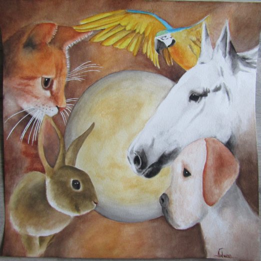 Soin aux animaux