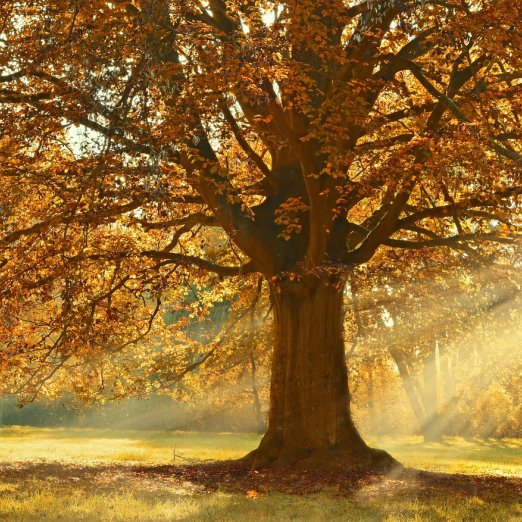 Equinoxe d'Automne 